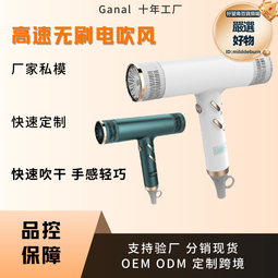 高速吹風筒無刷電機等離子大功率吹風筒風溫數顯電吹風機 歷史價格詳細信息
