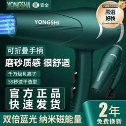 髮廊電吹風機吹頭髮大風力家用理髮店大功率負離子護髮速幹飛 歷史價格詳細信息