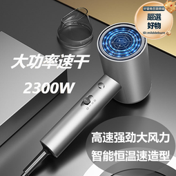 電吹風機家用大風力髮廊大功率男士專用理髮店負離子靜速幹護髮 歷史價格詳細信息