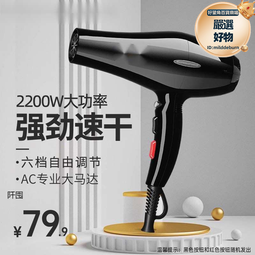 髮廊吹風機速幹型大功率速幹藍光負離子電吹風護髮理髮店不傷發筒 歷史價格詳細信息