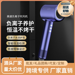 家用髮廊大功率速幹護髮吹風機負離子電吹風直發 歷史價格詳細信息