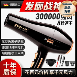 德國電吹風機家用大功率髮廊專用理髮店負離子護髮速幹風筒包 歷史價格詳細信息
