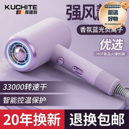 高速髮廊電吹風機家用理髮店大功率藍光護髮冷熱風筒 歷史價格詳細信息