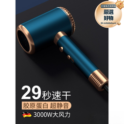 德國電吹風機家用負離子護髮大風力髮廊功率理髮店冷熱風筒其他 歷史價格詳細信息