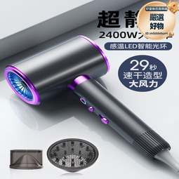 吹風機家用負離子護髮大風力理髲店專用小靜音速乾米高速吹風機 歷史價格詳細信息