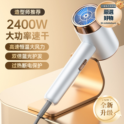 2400w大功率電吹風機家用髮廊藍光負離子吹風筒高速恆溫 歷史價格詳細信息