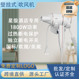酒店吹風機壁掛式賓館民宿速乾吹風機家用負離子護髮吹風機冷熱風 歷史價格詳細信息