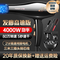 髮廊專用電吹風機家用大風力負離子護髮理髮店大功率冷熱風筒 歷史價格詳細信息