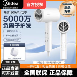 離子護髮吹風機 疊電吹風機 110V220伏雙電壓旅行電吹風機 可疊美國日本風筒hair dryer 歷史價格詳細信息