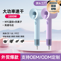 家用電吹風超靜音負離子吹風機大功率白色電吹風禮品 歷史價格詳細信息