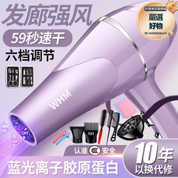髮廊吹風機家用大功率藍光電吹風大風力吹風筒冷熱風 歷史價格詳細信息