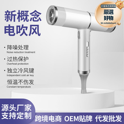 家用t型吹風機 多配件恆溫風筒 戴負離子功能 新款森 歷史價格詳細信息