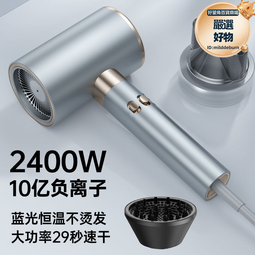電吹風機家用理髮店大風力負離子護髮靜音速幹髮廊大功率風筒檢誠 歷史價格詳細信息