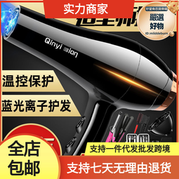 吹風機家用大功率髮廊電吹風機酒店電吹風筒負離子護髮 歷史價格詳細信息