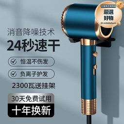 電吹風機髮廊筒吹頭髮大風力家用理髮店大功率負離子護髮速幹 歷史價格詳細信息
