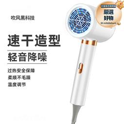 新款大功率吹風機 復古電吹風 髮廊造型吹風筒 歷史價格詳細信息