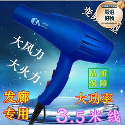 變頻電吹風機家用髮廊大功率理髮店冷熱風靜音大風力宿舍 歷史價格詳細信息