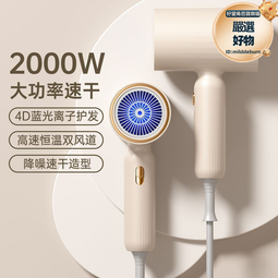 家用大功率吹風機卷直兩用直髮夾板2件套髮廊電吹風女士 歷史價格詳細信息