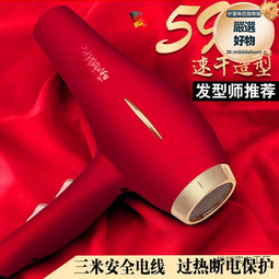 髮廊吹風機大功率電吹風藍光負離子護髮吹風筒 歷史價格詳細信息
