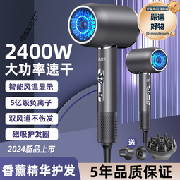 高轉速吹風機大功率電吹風家用冷熱風藍光吹風筒 歷史價格詳細信息