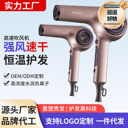 髮廊專用電吹風強風力家用大功率理髮店藍光速幹護髮吹風機吹頭髮 歷史價格詳細信息