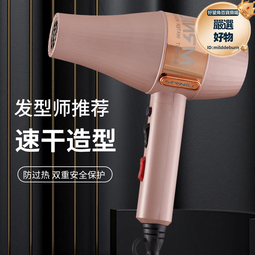 MR.NIU負離子電吹風機髮廊專用速幹高速電吹風家用護髮強勁風力 歷史價格詳細信息