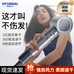高速吹風機家用負離子大功率恆溫護髮廊速幹靜音無刷T形狀電吹風 歷史價格詳細信息