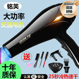 德系電吹風機家用大風力髮廊大功率2200理髮店負離子冷熱風批 歷史價格詳細信息