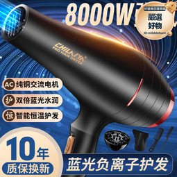 德系髮廊電吹風機家用速乾冷熱理髮店專用大功率負離子護髮宿舍靜 歷史價格詳細信息