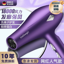 髮廊大風吹風機家用大功率理髮店負離子電吹風筒恆溫冷熱風不傷發 歷史價格詳細信息