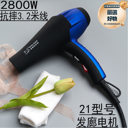 刺吹a5通風機家用大功率理髲店專用髮型師髮廊大風力速乾電吹風機 歷史價格詳細信息
