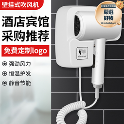 酒店吹風機壁掛式吹風筒賓館家用浴室衛生間專用掛牆式電吹風 歷史價格詳細信息