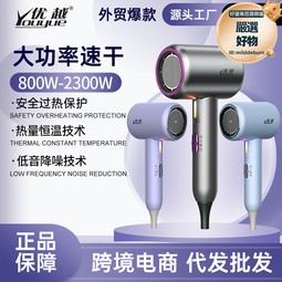 新款家用電吹風機護髮宿舍用學生高速大功率風筒大風力速幹2200W 歷史價格詳細信息