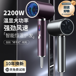 吹風機新款數顯電吹風筒家用宿舍大功率髮廊專用理髮店大風力 歷史價格詳細信息