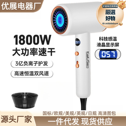 電吹風機家用大功率負離子護髮小功率學生宿舍用髮廊專用風筒 歷史價格詳細信息