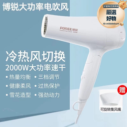 電吹風機 家用吹風機 恆溫吹風機 負離子吹風機 便攜吹風筒 小巧吹風機 智能吹風機 過熱保護吹風機 110V吹風機 歷史價格詳細信息
