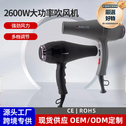 專業吹風機髮廊專用大功率宿舍恆溫冷熱造型吹風筒電吹風家用 歷史價格詳細信息