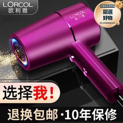 髮廊電吹風機吹頭髮大風力家用理髮店大功率負離子護髮速幹飛 歷史價格詳細信息