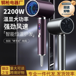 吹風機新款數顯電吹風筒家用宿舍大功率髮廊專用理髮店大風力 歷史價格詳細信息