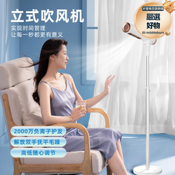 新款吹風機家用負離子吹風機大功率酒店吹風機電吹風 歷史價格詳細信息