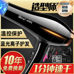 吹風機髮廊負離子電吹風恆溫大功率家用靜音吹風筒酒店華強北 歷史價格詳細信息