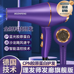 德國髮廊電吹風機家用負離子護髮大風力髮型師大功率速乾冷熱風筒 歷史價格詳細信息