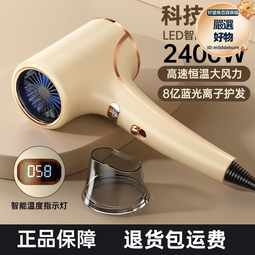 髮廊家用大風力吹風機理髮店3000大功率藍光護髮電吹風冷熱黃榮幸 歷史價格詳細信息