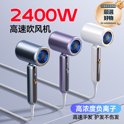 錘子電吹風家用髮廊風筒英規230v負離子風筒大功率吹風機 歷史價格詳細信息