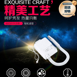 壁掛式吹風機酒店賓館專用大風力速乾電吹風家用靜音藍光護髮吹風機 歷史價格詳細信息