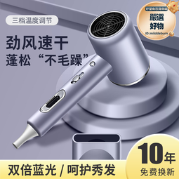 新款家用大功率吹風機理髮店髮廊大風速藍光負離子電吹風冷熱風筒 歷史價格詳細信息