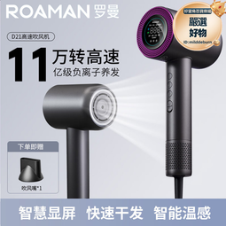 羅曼（ROAMAN）兒童電動牙刷6-12歲軟毛充電式寶寶小孩聲波牙刷P3 歷史價格詳細信息