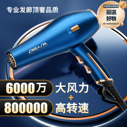 理髮店專用吹風機大功率髮廊強大風交流電機家用女仕電風吹負離子 歷史價格詳細信息
