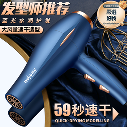 德國吹風機負離子護髮家用高速吹風機大風力速乾華強北新款P2971 歷史價格詳細信息