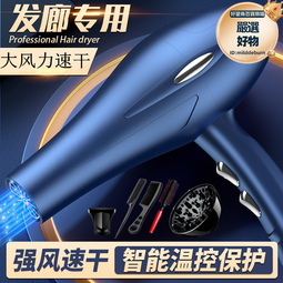 髮廊吹風機家用大功率理髮店6000冷熱風負離子電吹風筒發 歷史價格詳細信息